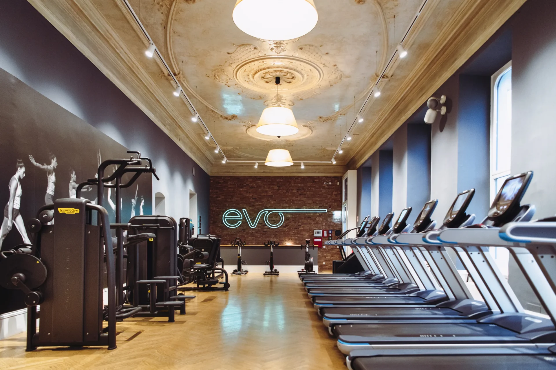 Elegant gym interior with treadmills and strength machines under a classic decorative ceiling at EVO Fitness Berggasse