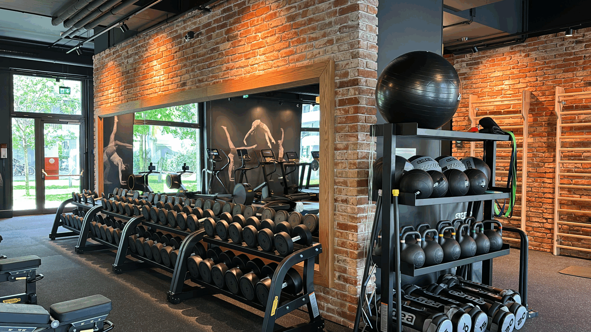evo fitness Bruno-marek allee free weight mirror area
