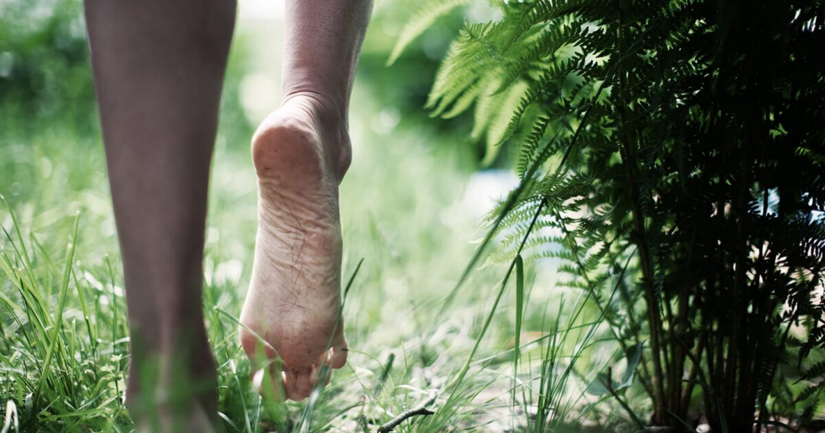 How important healthy feet and barefoot training are.